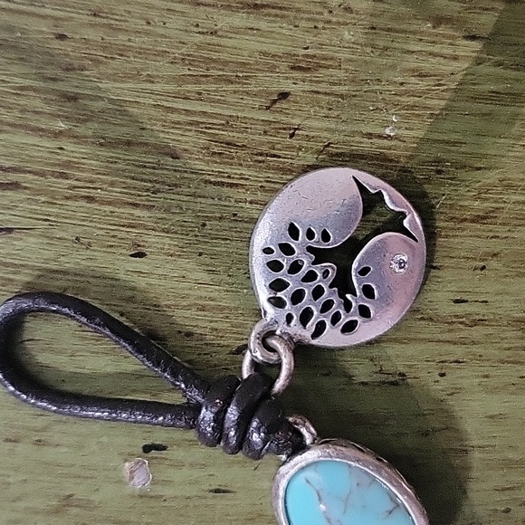 FOSSIL Set - Picture 3 of 7